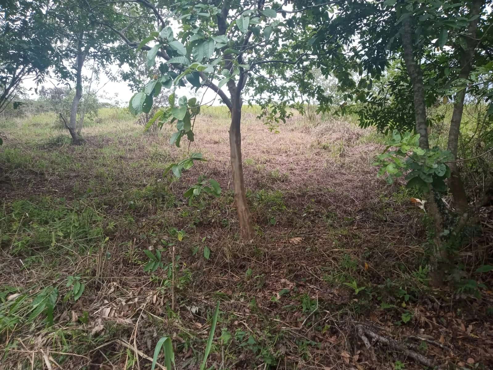 Terreno no bairro da Cotia, Guapimirim